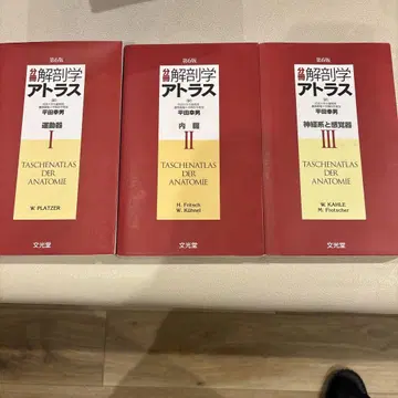 해부학 아틀라스 I, II, III 세트