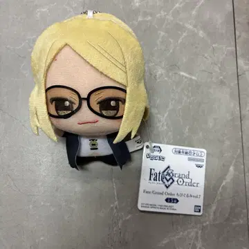 Fate Grand Order SD 인형 테스카트리오카