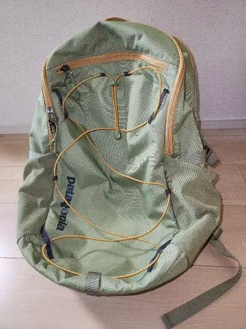 Patagonia 레푸지오 데이팩 30L