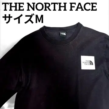 더 노스 페이스 롱 슬리브 슬리브 그래픽 티