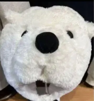 USJ 한정판 스파이 패밀리 본드 봉제 인형 햇