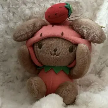 우사즈킨 딸기 봉제 인형