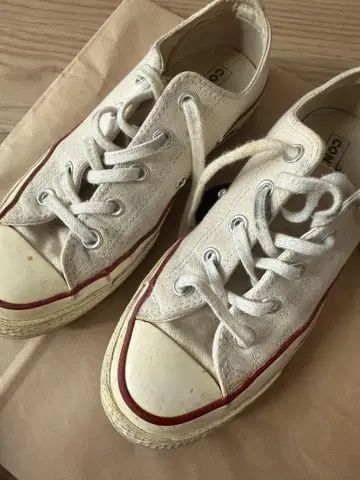 CT 척 테일러 23cm 베이지