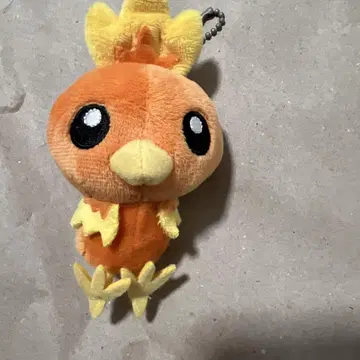 아차모 마스코트 Pokemon petit 포켓몬 센터 한정판