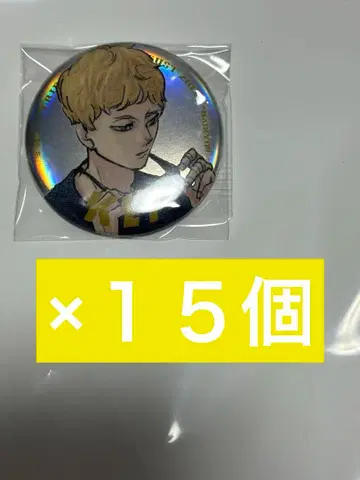 하이큐 츠키시마 케이 점프 GIGA 응모자 전원 서비스 메탈릭 캔뱃지