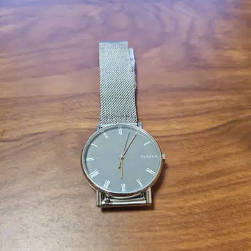 SKAGEN 손목시계 그레이 메쉬 밴딩