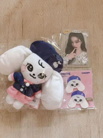 IVE minive welcome to minive school 원영