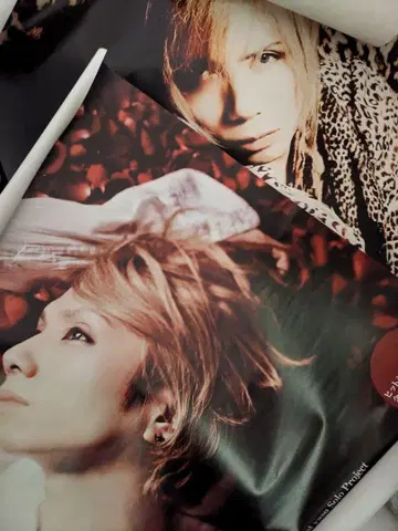 Acid Black Cherry 포스터 세트