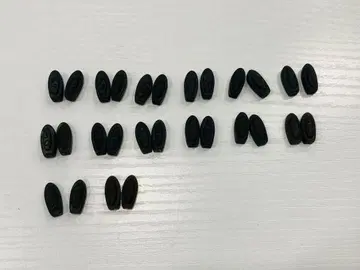 오클리 X 메탈 템플 샥스