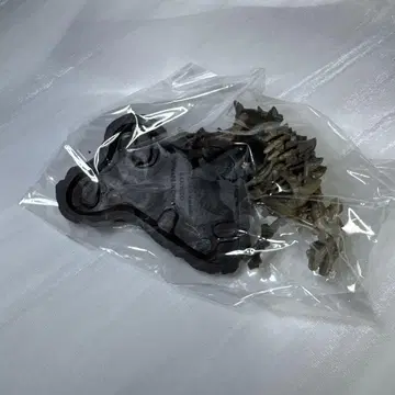 공룡 박람회 2023 피규어 주르 쿠루바스타토르 전신 골격