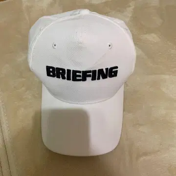 브리핑 캡
