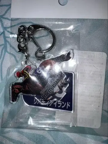 리버티 아일랜드 아크릴 키링