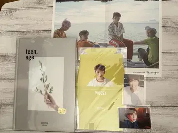 seventeen 세부치 Teenage 앨범 원우 트레이딩 카드 포함