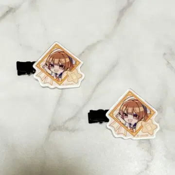 컬러풀 피치 히라카타 파크 아크릴 헤어 클립 2개 세트