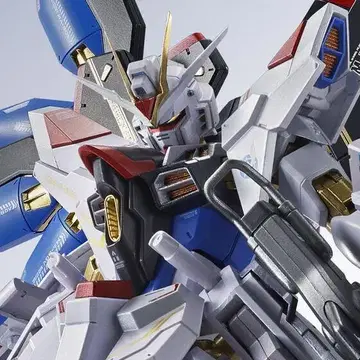 METAL ROBOT 스트라이크 프리덤 건담 이식