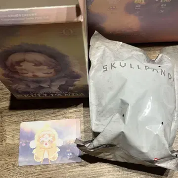 SKULLPANDA 스컬 팬더 Dawn 팝 마트 봉제 인형
