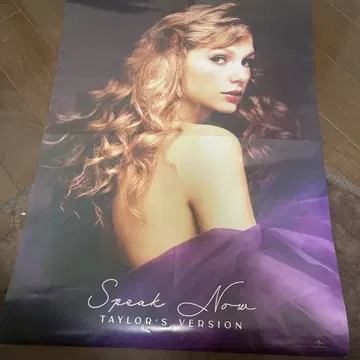 Taylor Swift 테일러 스위프트 포스터