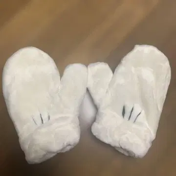 디즈니 장갑
