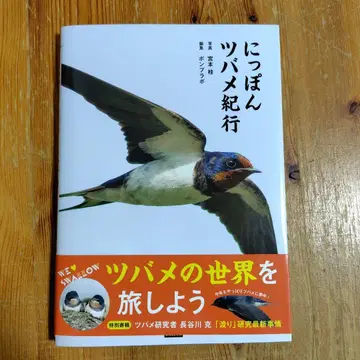 일본 제비 기행