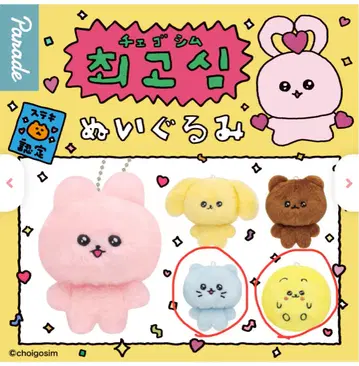 체고심 봉제 인형 가챠 세트 판매