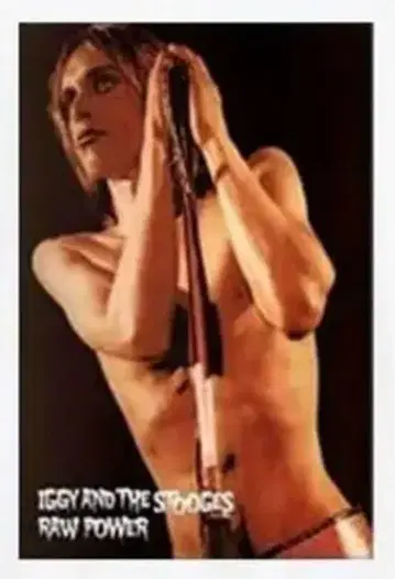 이기 팝 티셔츠 스투지스 Iggy and the Stooges