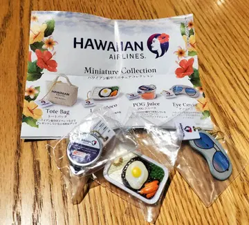 HAWAIAN AIRLINES 미니어처 컬렉션