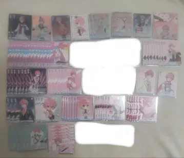 사토미 군 바이스 슈바르츠