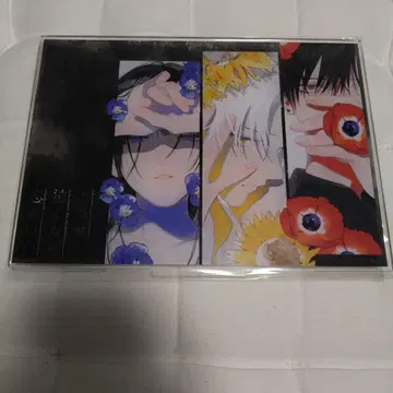 어차피 울 거면 사랑이 좋겠어, 최애로 정해버리자