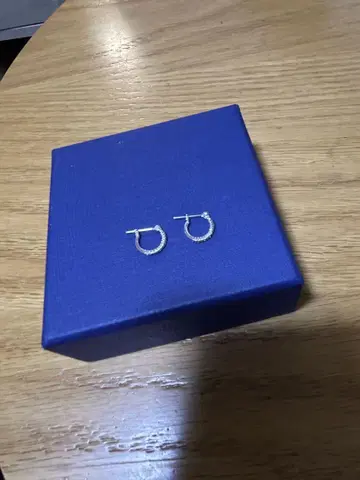 플라티나 실버 후프 귀걸이