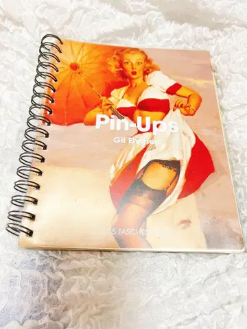 Pin-Ups Gil Elvgren 전 컬러 콜라주 도서 외국도서