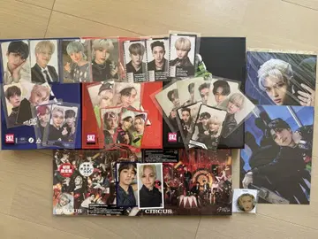 straykids skz oddinary CIRCUS 앨범 트레이딩 카드