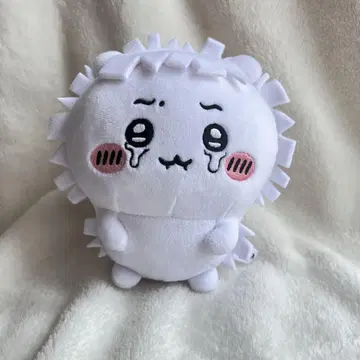 치이카와 (먼작귀) 봉제 인형 산기리 머리