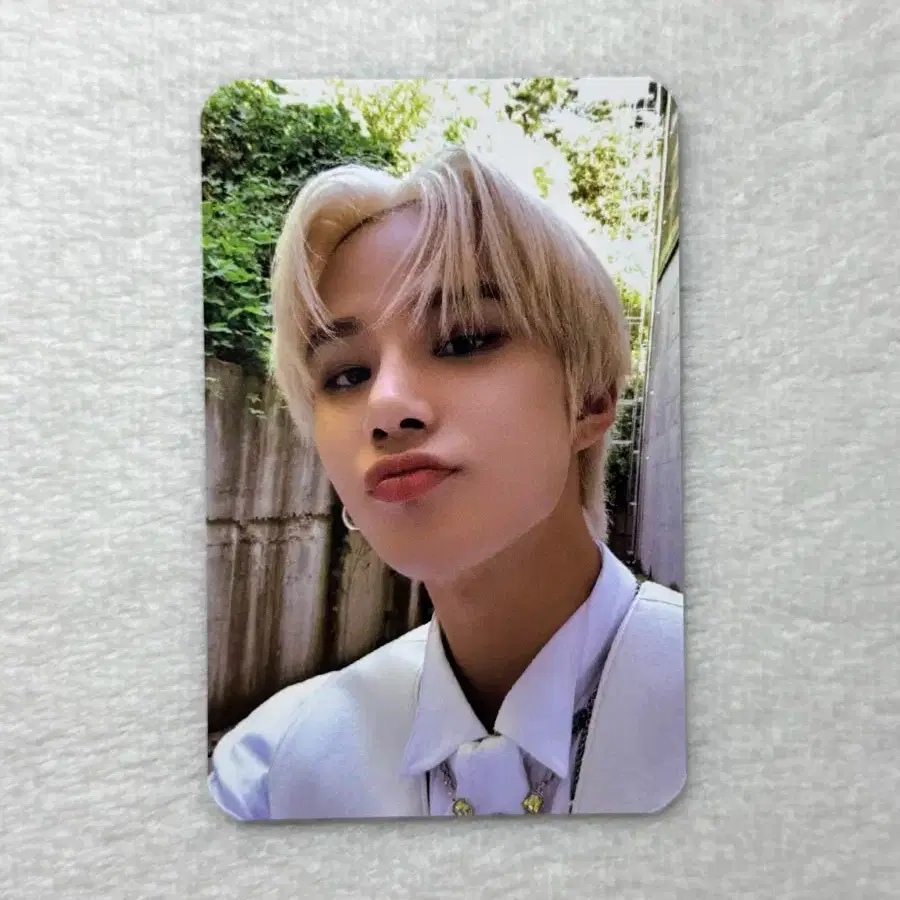 NCT | 엔시티 Nct 127 jungwoo sticker global shop deluxe box duck