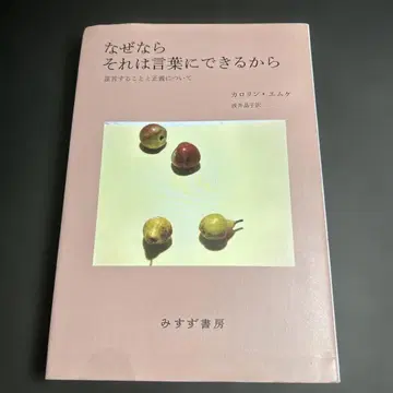 왜냐하면 그것은 말로 표현할 수 있기 때문입니다 증언과 정의에 대하여