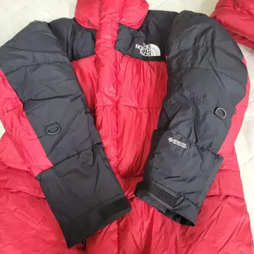 THE NORTH FACE GORE-TEX 다운 자켓 빨검
