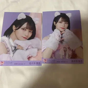 사사키 마이카 브로마이드 고양이