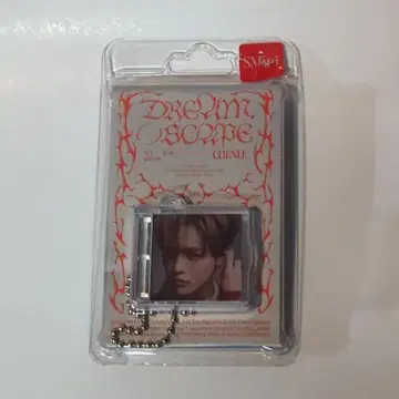 NCT DREAM SMini 버전. CHENLE DREAM( )SCAPE
