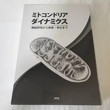 미토콘드리아 역학 기능 연구에서 질병 및 노화까지
