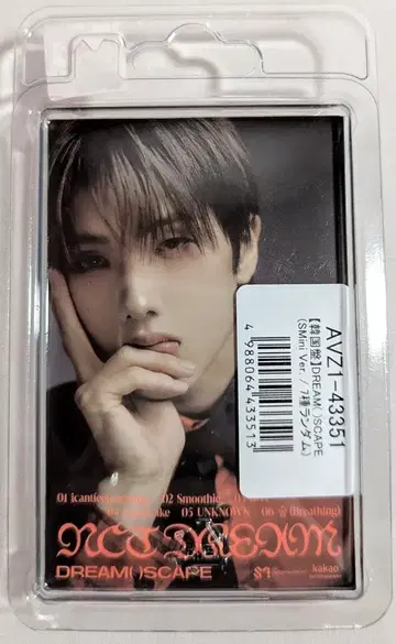 NCT DREAM SMini 버전. JISUNG DREAM( )SCAPE