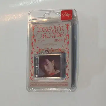 NCT DREAM SMini 버전. RENJUN DREAM( )SCAPE