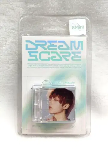 NCT DREAM SMini 버전. JISUNG DREAMSCAPE
