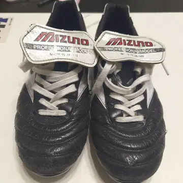 Mizuno 모레리아 2 재팬