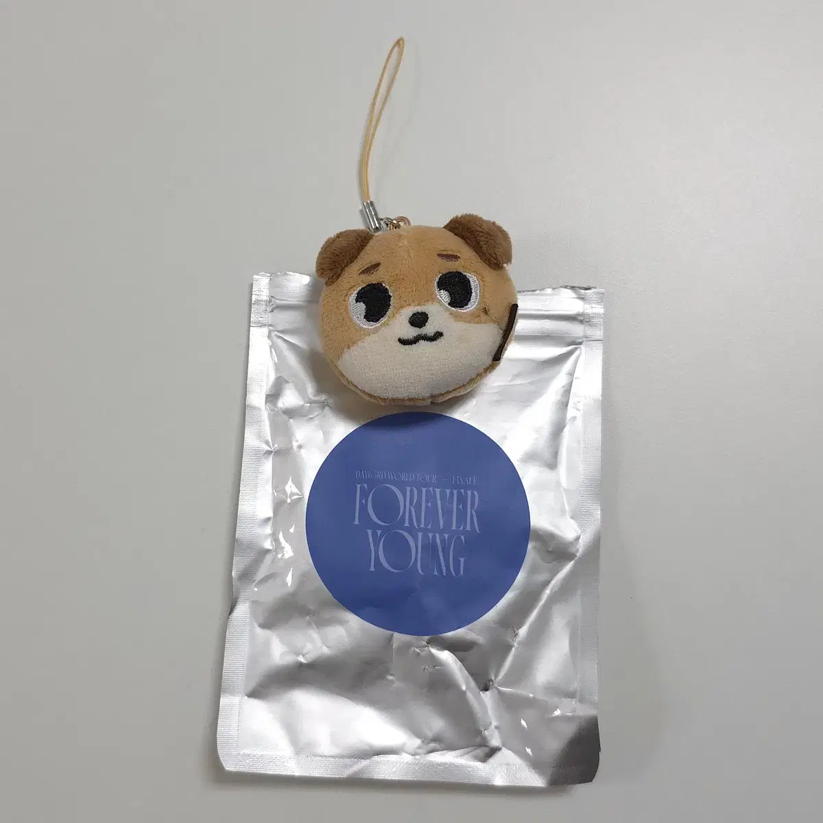 DAY6 | 데이식스 DAY6 Wonpil unofficial goods doll Pilkki on