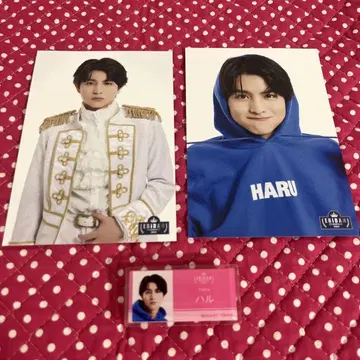 EBiDAN museum 2024 초특급 하루 엽서 네임 배지