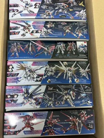hg 건담 SEED FREEDOM 건담 프라모델 묶음 판매