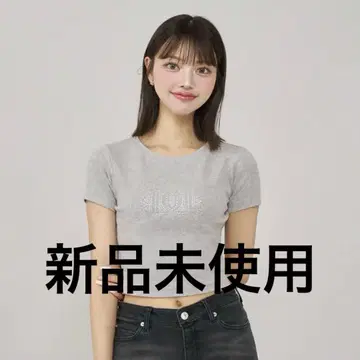 Darich 다리치 샤이니 DD 로고 컴팩트 티셔츠 GRY 그레이