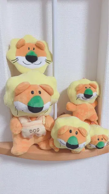 먹는 동물