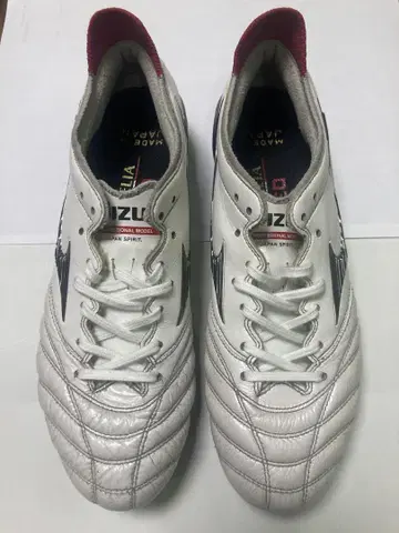 23.5cm 모렐리아 네오 3