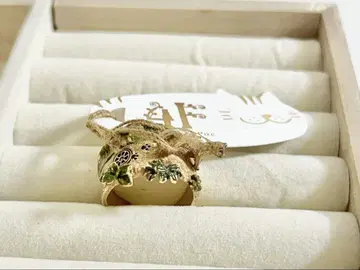 파르나토팍 산책로 반지