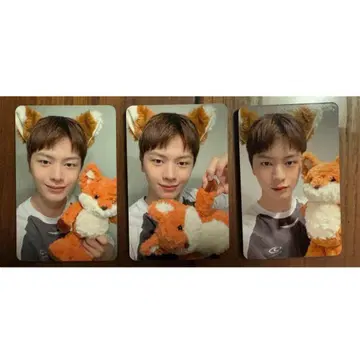 BTOB 선재 앨범 트레이딩 카드 매장 봉입 앱뮤 여우 여우 여우